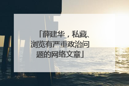 薛建华，私藏、浏览有严重政治问题的网络文章